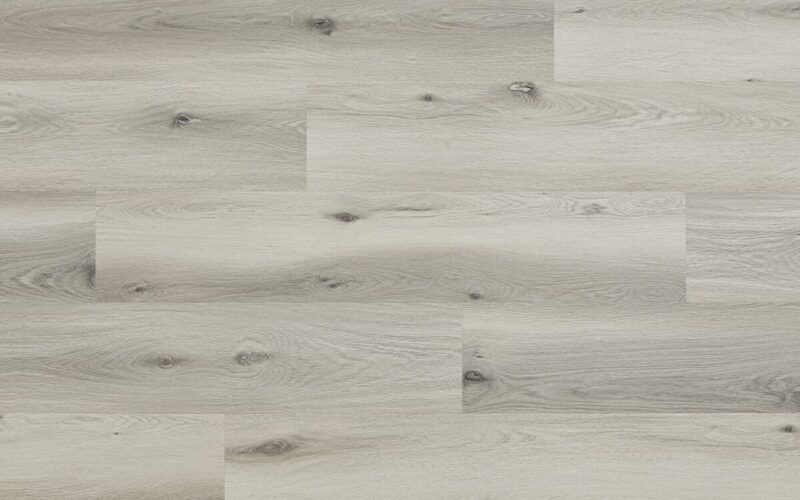 Baltimore Oak - immagine 2