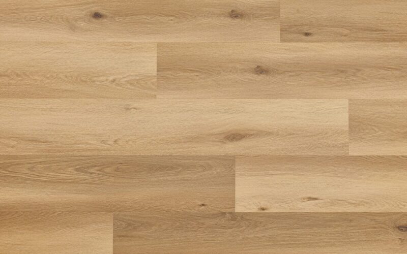 Cavaillon Oak - immagine 4