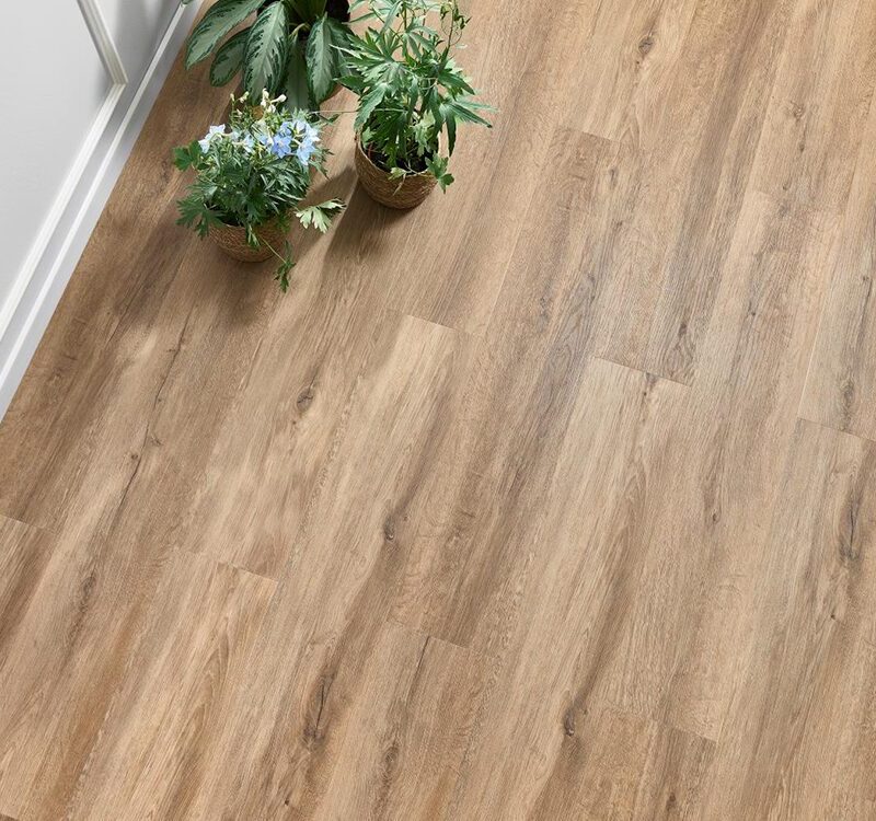 Lakewood Oak