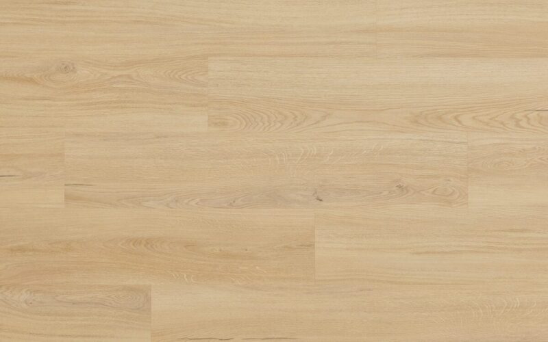 Lavant Oak - immagine 4