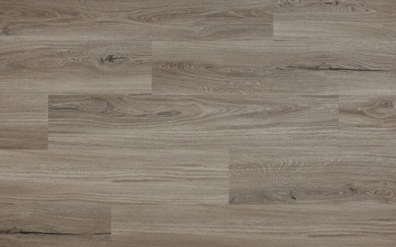 Lincoln Oak - immagine 2