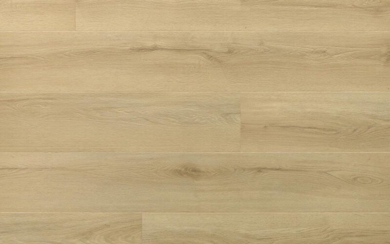 Princeton Oak - immagine 2
