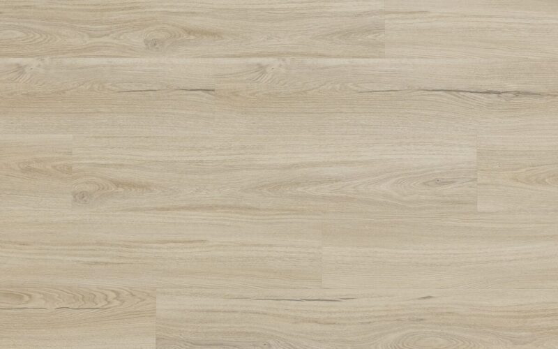 Salerno Oak - immagine 2