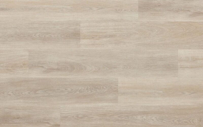 Stamford Oak - immagine 2