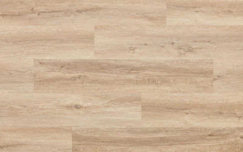 Windsor Oak - immagine 2