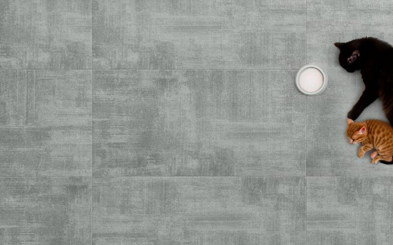 Amadora Grey - immagine 3