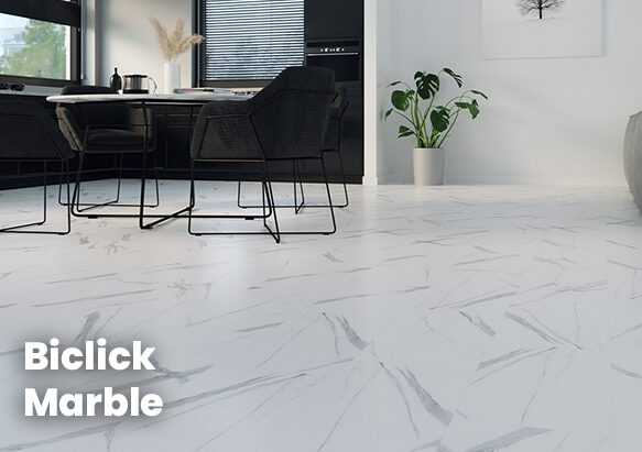 Copertina-Biclick-Marble-2