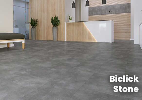 Copertina-Biclick-Stone-2