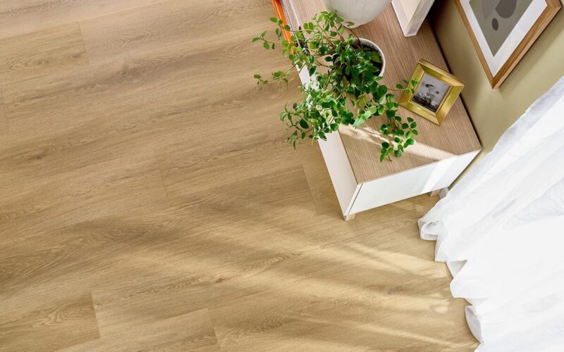 Menor Oak
