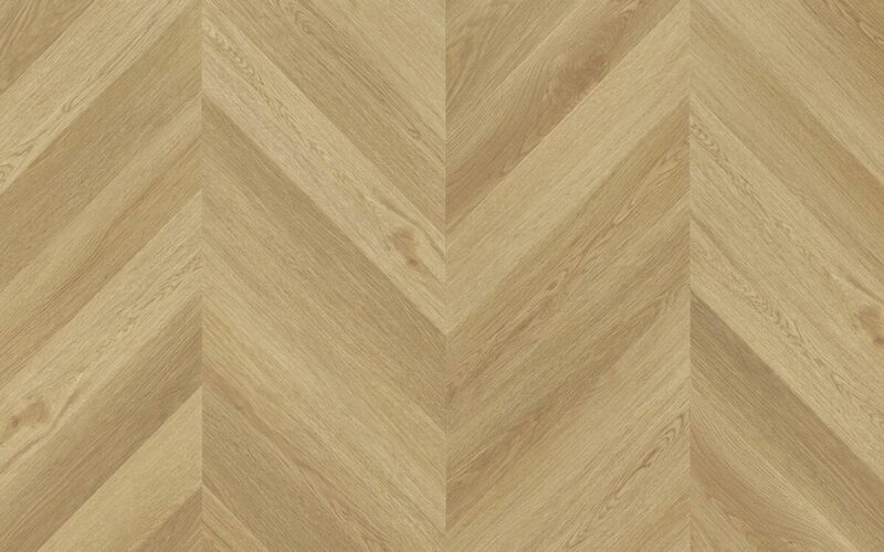 Menor Oak - immagine 3
