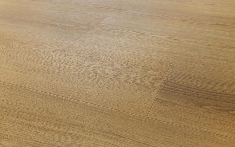 Menor Oak - immagine 4