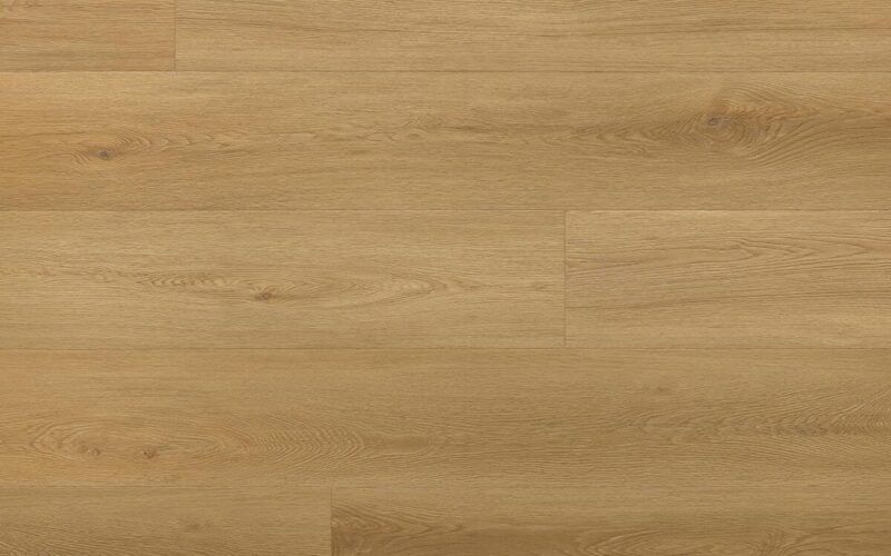Menor Oak - immagine 3