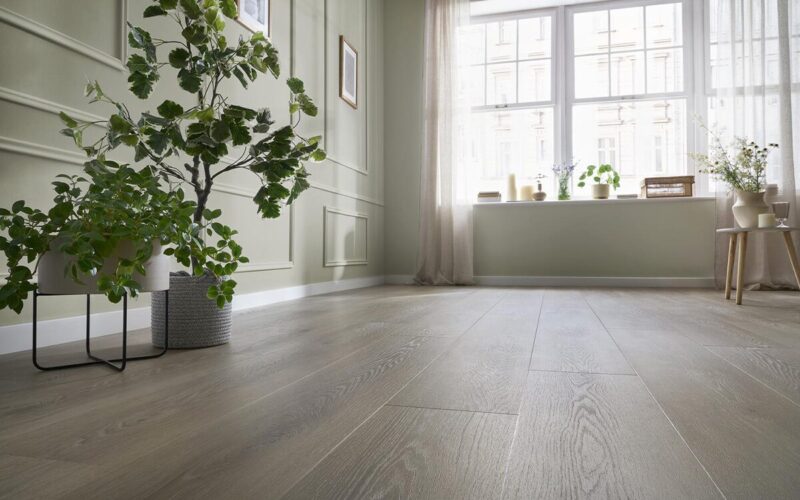 Tampa Oak - immagine 2