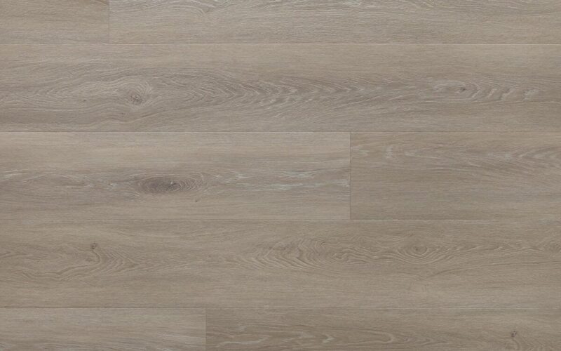 Tampa Oak - immagine 3