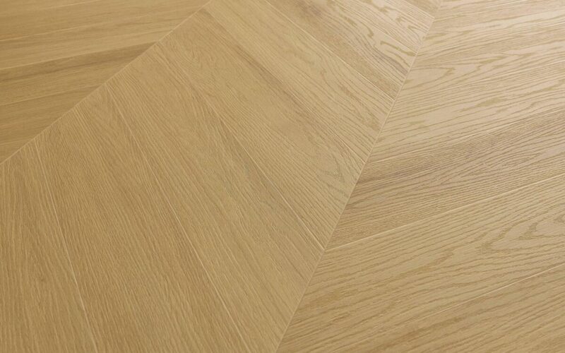 Virgin Oak - immagine 4