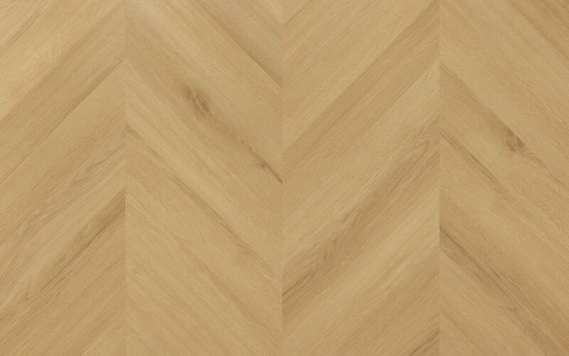 Virgin Oak - immagine 3