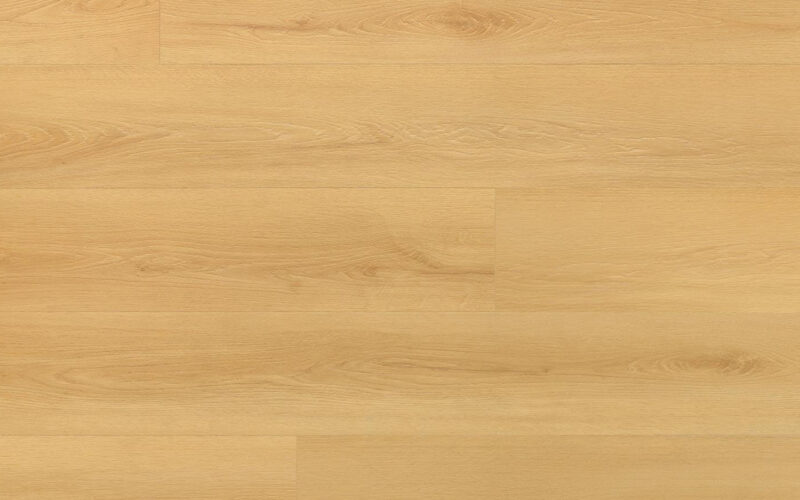 Virgin Oak - immagine 2