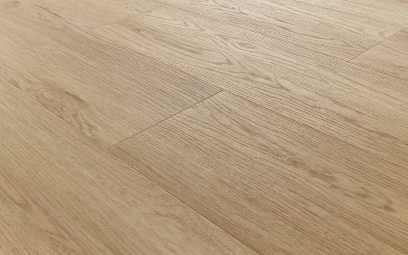 Yankee Oak - immagine 2