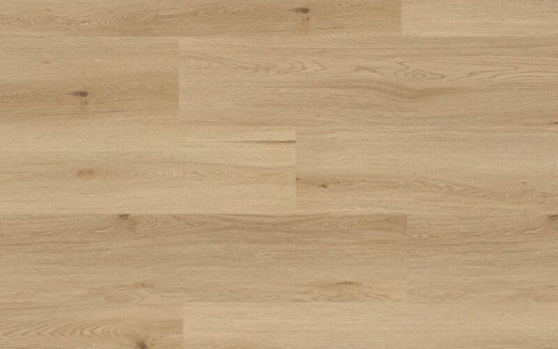 Yankee Oak - immagine 3