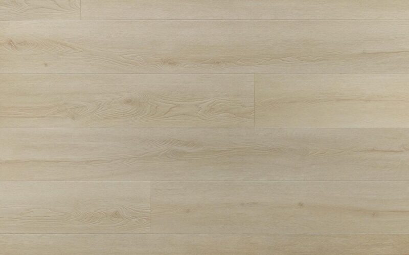 Charlotte Oak - immagine 3