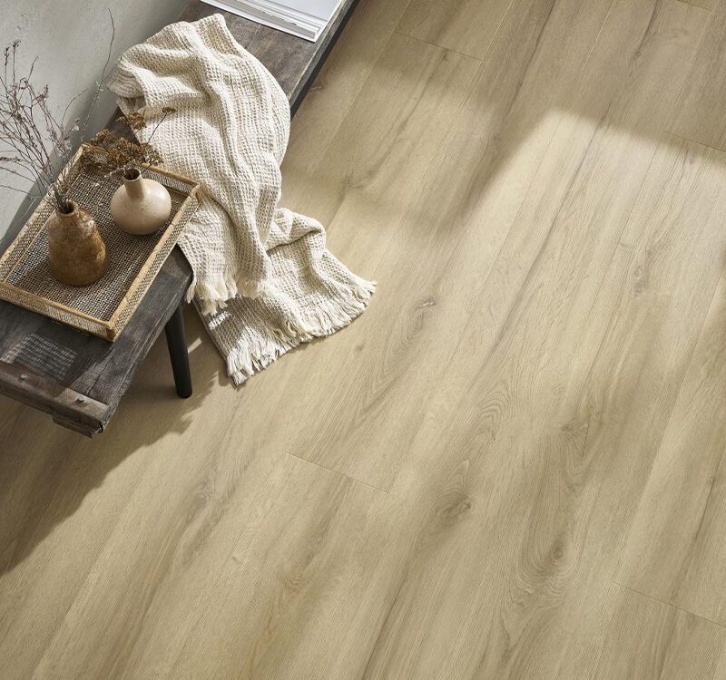 Chevalier Oak