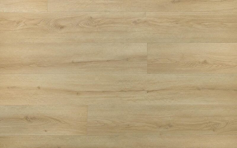 Chevalier Oak - immagine 3