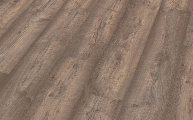 Roble Columbia - immagine 4