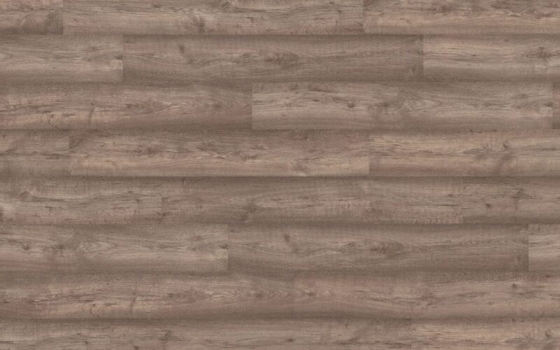 Roble Columbia - immagine 3