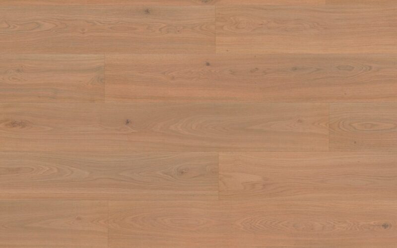 Roble Crescendo - immagine 3