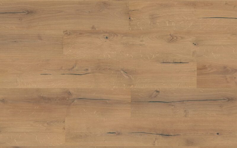 Roble Polka - immagine 3