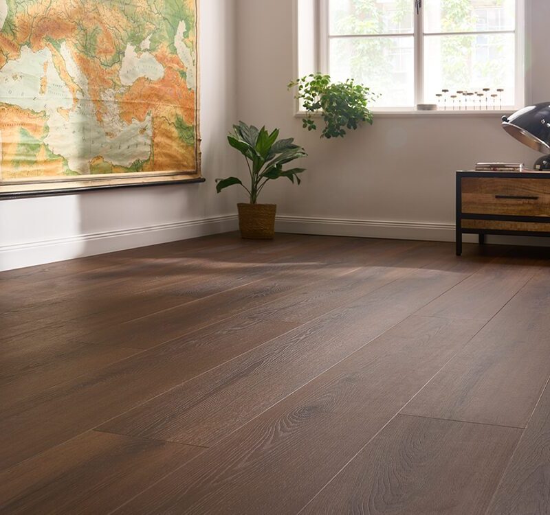 Segovia Oak
