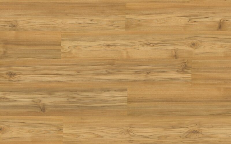 Teka Tasmanian - immagine 3
