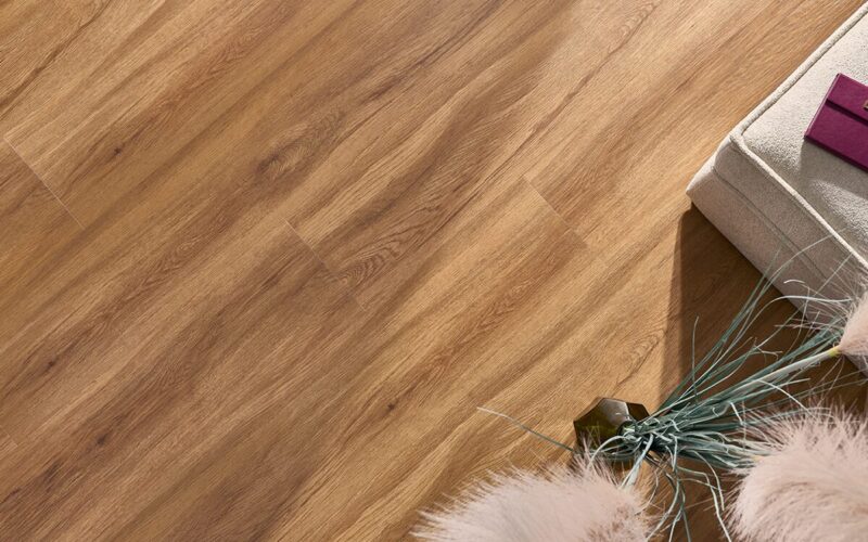 Jersey Oak