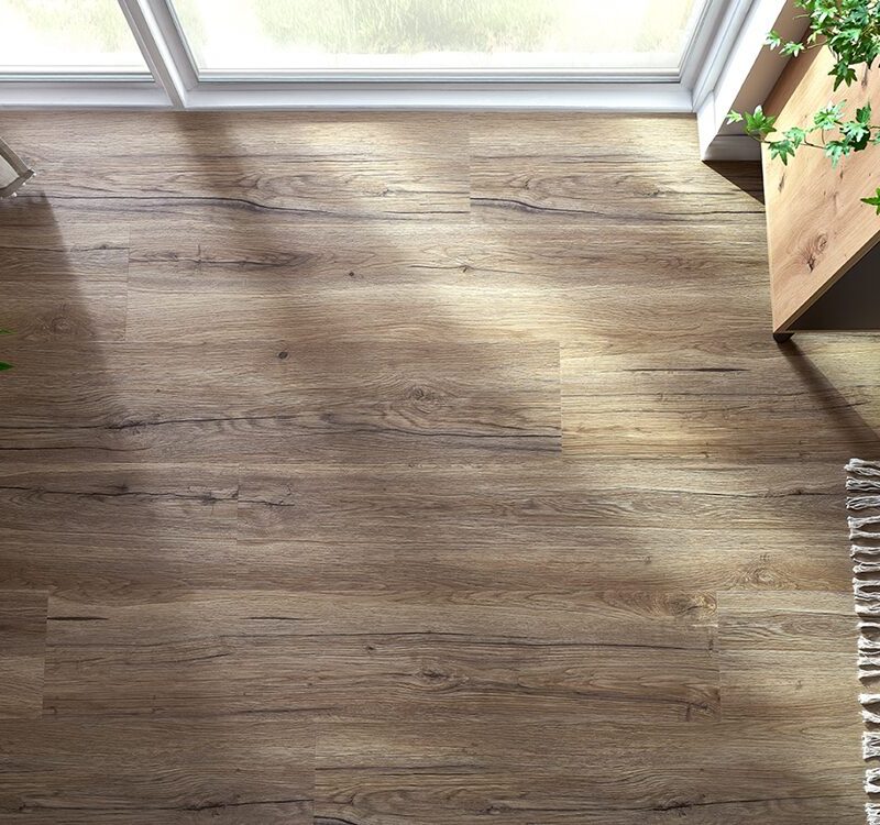 Kinesawa Oak