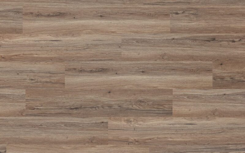 Kinesawa Oak - immagine 4