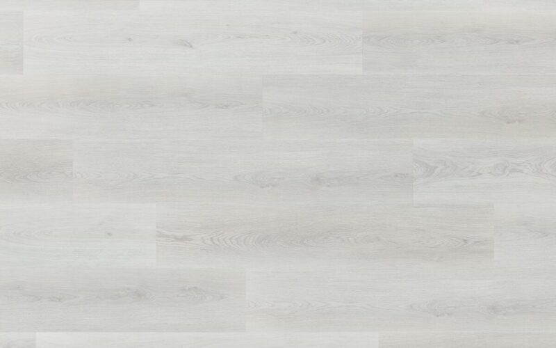 Takeda Oak - immagine 4